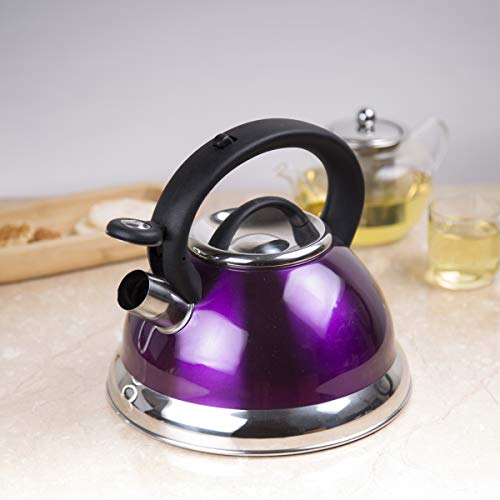 Creative Home Alexa 3.0 Quart Stainless Steel Whistling Tea Kettle Fast