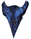 MENDENG Men's Blue Paisley Jacquard Woven Silk Cravat Necktie Scarf Formal Ascot
