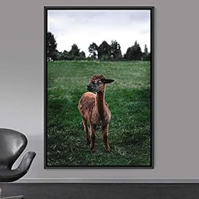 signwin Framed Canvas Wall Art Llama Animals Camels...