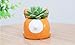Cuteforyou Cute Animal Shaped Cartoon Home Decoration Succulent Vase Flower Pots (Plant Not Included)