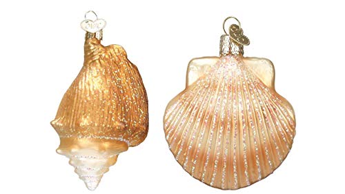 41pkEkolmsL 41pkEkolmsL