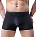 WINDAY Men Briefs Breathable Ice Silk Boxer Bikinis and Briefs N05