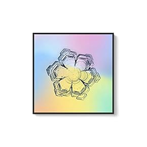 Framed Canvas Wall Art for Living Room, Bedroom Snowflake Theme Canvas Prints for Home Decoration Ready to Hang - 16x16 inches