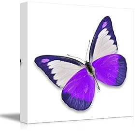 Beautiful Flying Purple Butterfly on White Background Wall Decor