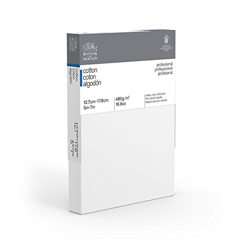 Winsor & Newton Professional Cotton Canvas, 5" x 7"