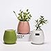 Modern Flower Pot, Ceramic Succulent Pots, 3 Inch Pots for Plants with Drainage, Set of 3 Plant Pots Indoor