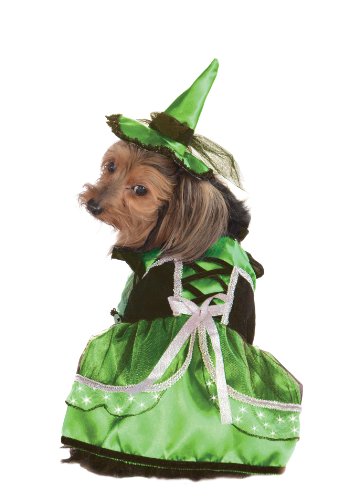 Rubie's Pet Costume, Large, LED Light-Up Green and White Witch Dress and Hat