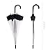 Rainbrace Transparent Bubble Umbrella Auto Open, Fashion Dome Shape with Color Trim (Black)