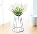 SANGDA Air Plant Holders,Metal Stand Air Plant Container Tabletop Planter Flower Holder Racks Tillandsia Plant Display Racks for Live Tropical House Plants Indoor Air Plants Home Decor(White)thumb 4