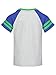 RYAN'S WORLD Little Boys Graphic T-Shirt Gray/Blue 4
