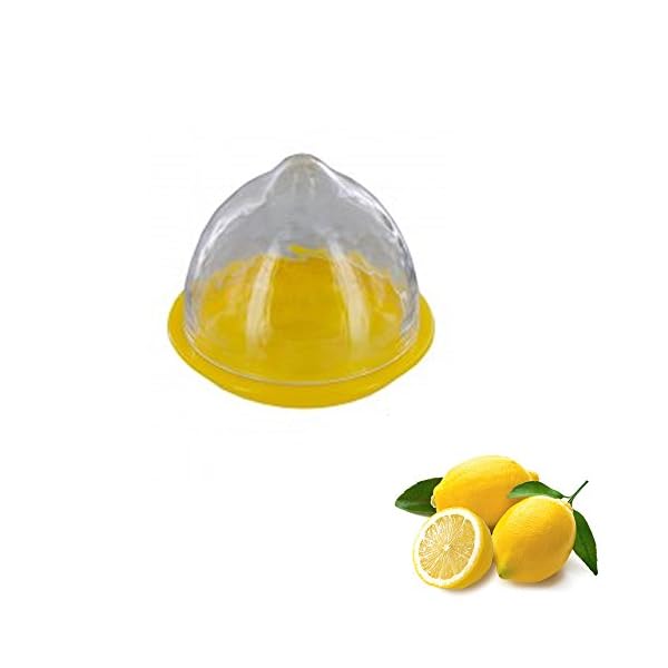 Joie Kitchen Gadgets 33011 Joie Lemon Storage Podwith Clear Lid, Plastic