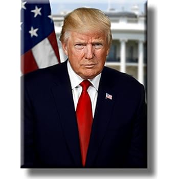 Amazon.com: President Donald Trump Official Portrait Picture on ...