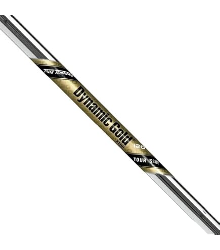 Amazon.com : True Temper X100 Dynamic Gold Tour Issue Tapered 3-PW