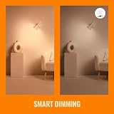 WiZ Smart Colour & White E14 Candle Light Bulb 40W WiFi Alexa Google HomeKit view 10