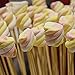 Brandon-Super Griddle Accessories Kit - 200PCS Grill Spatula Set for Griddle Cooking (200 PCS)