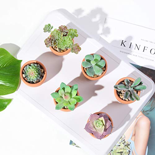 Veryhome Faux Succulent Plants Artificial Potted Small Fake Plants