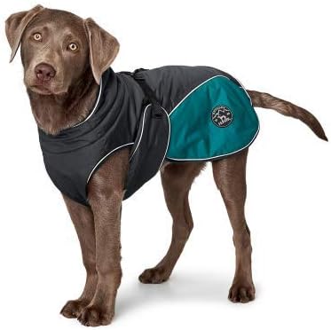 HUNTER Dog Coat Uppsala Cozy, 30 cm anthracite/teal, 3X-Small - Image 3