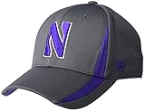 Top of the World Northwestern Wildcats Men's