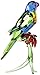 Swarovski Rainbow Lorikeet Figurine (5136832)