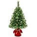 Best Choice Products 26-inch Pre-Lit Tabletop Fir Artificial Christmas Tree Decor w/ 35 Warm White LED Lights, Timer, Green