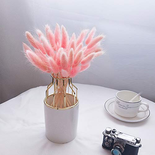 Beau Jour Natural Dried Lagurus ovatus 100 pcs, Flower Arrangements Wedding Home Decor (Pink)
