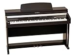 Kurzweil MP20F