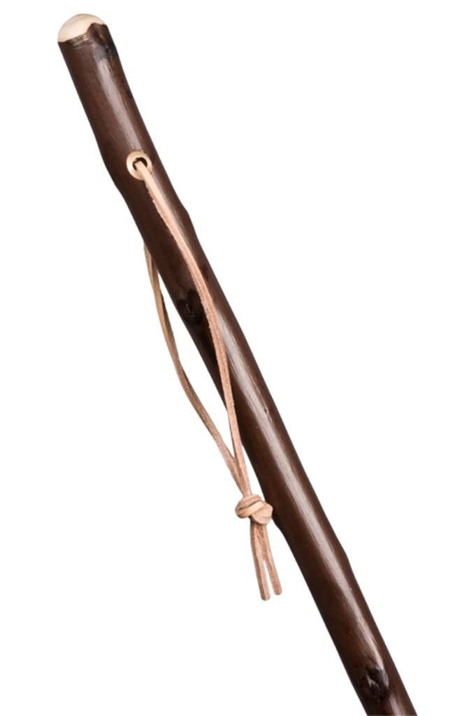 Stock-Fachmann Walking Stick Marschierer in Brown Stained Real Wood Pilgrim Stick Made of Chestnut Wood with Mountain Pole Tip Length Selectable