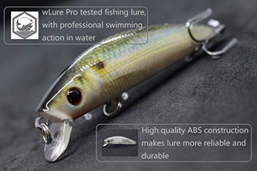 wLure Fishing Lure Lifelike Minnow Crankbait for Bass Fishing Bass Lure HM219KB