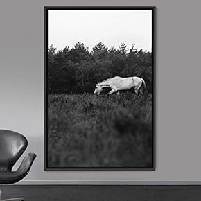 signwin Framed Canvas Wall Art High Contrast Horse...