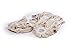 Woca Swep Mop Replacement Head (For WOCA Brand Red Mop)