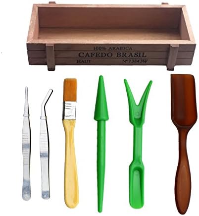 Succulent Container Box, Wood Garden Planter with 6 Pcs Mini Succulent Transplanting Hand Tools Set