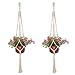 eBoot 2 Pack 41.3 Inches Cotton Rope Plant Hanger Flower Pot Plant Holder Hangers for Indoor Outdoor Plant Hanging, 4 Legs