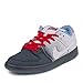 Nike Men's Dunk Low Premium SB Skate Shoe