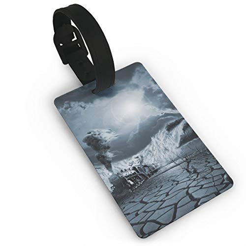 Kla Ju Luggage Tags Fantasy Train Art Suitcases