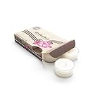 Coconut Cove White Tea Light Candles 6 Pack - Highly Scented, Hand Poured, & Clean Burning - Clear Container for Beautiful Candlelight - Fruit Tealights Collection