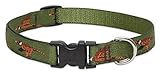 LupinePet 3/4-Inch Fly Away 13-22-Inch Adjustable Collar for Medium to Large Dogs