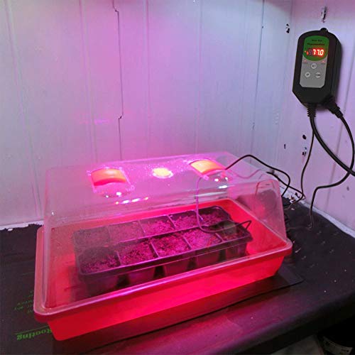 BoHoFarm Heat Mat Thermostat Controller Digital Heating Mat Thermostat for Reptile/Germination/Rooting 68-108℉