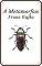 Livro A Metamorfose