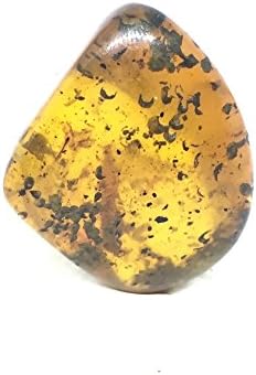 33.10 ct Natural Burmite Amber Insect (Untreated) 100 million years old