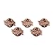 Lot of 5 Jw.org Lapel Pin Brooch Gifts