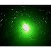 Apollointech-Green-Deep-Drop-LED-Submersible-Night-Fish-Attracting-Fishing-Light-5000-Lumens-IP68-Anodized-Aluminum-Housing-30-ft-cord-for-Crappie-Bass-Striper-Catfish-Baitfish-Walleye-Shad-Minnows
