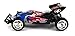 Flaming Skull Raider Electric RC Buggy Big Size 1:10 Scale Off Road Ready To Run RTR High Performance, Front Wheel Independent and Hinged Rear Suspension (Colors May Vary)