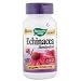 NATURE'S WAY ECHINACEA ANGUSTIFOLIA EX, 60 CAP