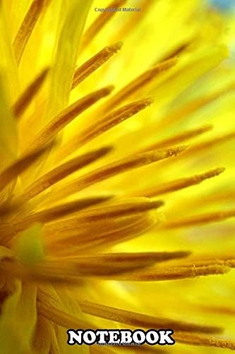 Notebook: Dandelion Macro , Journal for Writing, College Ruled Size 6" x 9", 110 Pages Paperback – December 27, 2019