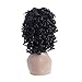 Synthetic Afro Curly Hair Wigs for Black Woman Short Kinky Hair Jet Black Heat Resistance Fiber 14