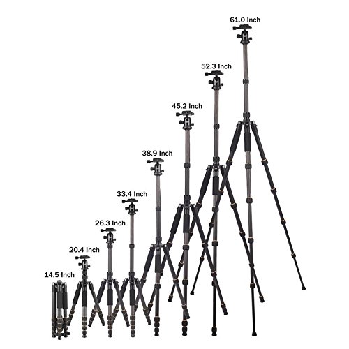 ZOMEI Carbon Fiber Q666C Tripod Heavy Duty Lightweight Travel with 360 Degree Ball Head Compact for Canon Sony, Nikon, Samsung, Panasonic, Olympus, Kodak, Fuji, Cameras and DSLR