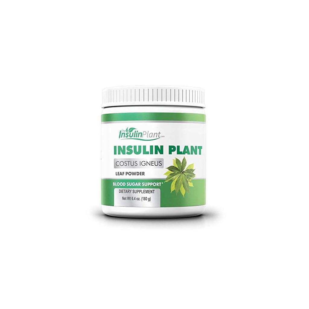 Insulin Plant Leaf Powder (Costus Igneus) Blood Sugar