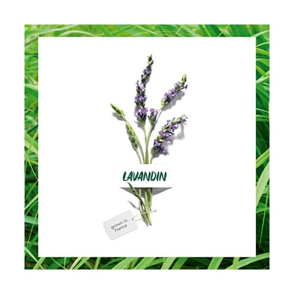 Garnier Organic Lavandin Set: Anti-Age Day Cream, Smooth & Glow Facial Oil and Anti-Age Eye Cream for Healthy Glowing…