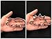 New Cookie Cutter Set - 3 Inch Dinosaur Footprint, Brontosaurs, Spinosaurus & Triceratops Molds for Kids' Birthday Party (4 Piece)