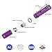 GLAREE E03 Keychain Flashlight, CREE LED 150 Lumens Mini Torch AAA Battery EDC Pocket Penlight Portable Emergency Light, Purple